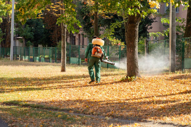 Best Local Pest Control Services  in Wellston, OH