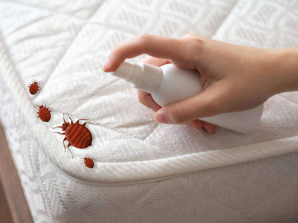 Professional Pest Control in Wellston, OH