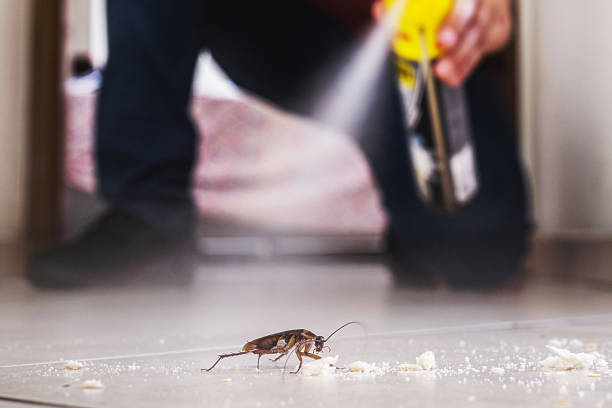 Best Wasp Removal Services  in Wellston, OH